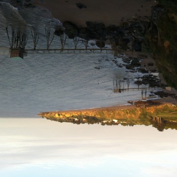 Madysson - Schlierbach - Haut-Rhin | Rencontre Trans