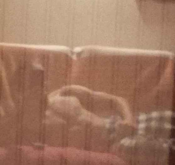 Younsse - Arrigny - Marne | Rencontre Trans