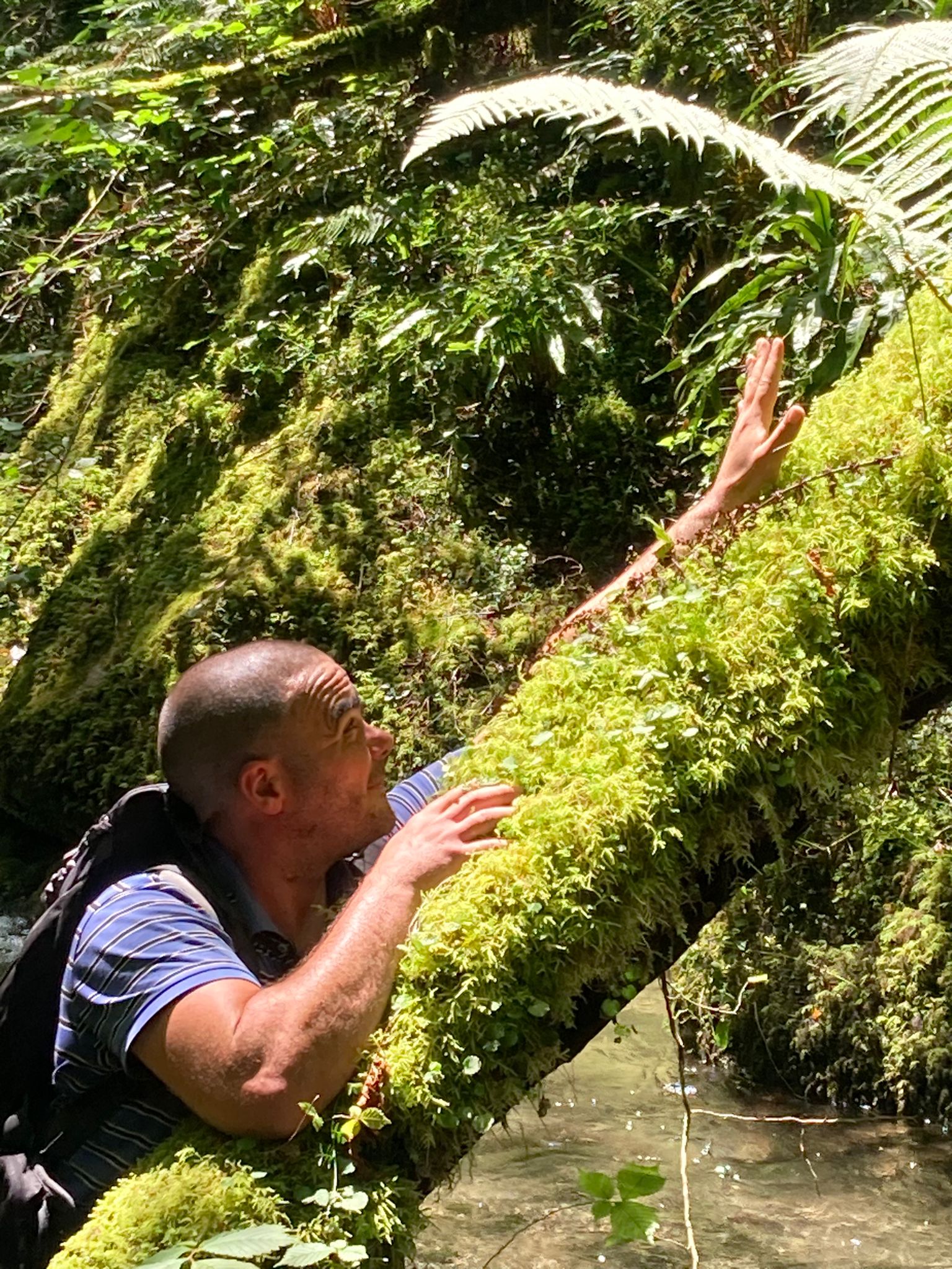 Nori - Contest - Mayenne | Rencontre Trans