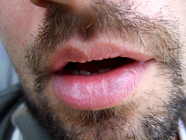 Dama - Barlieu - Cher | Rencontre Trans