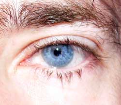 Yann-eric - Corroy - Marne | Rencontre Trans